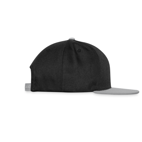 NyDisk.no Snapback Caps