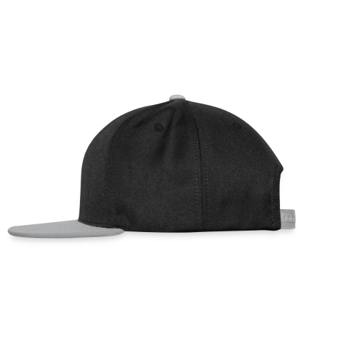 NyDisk.no Snapback Caps